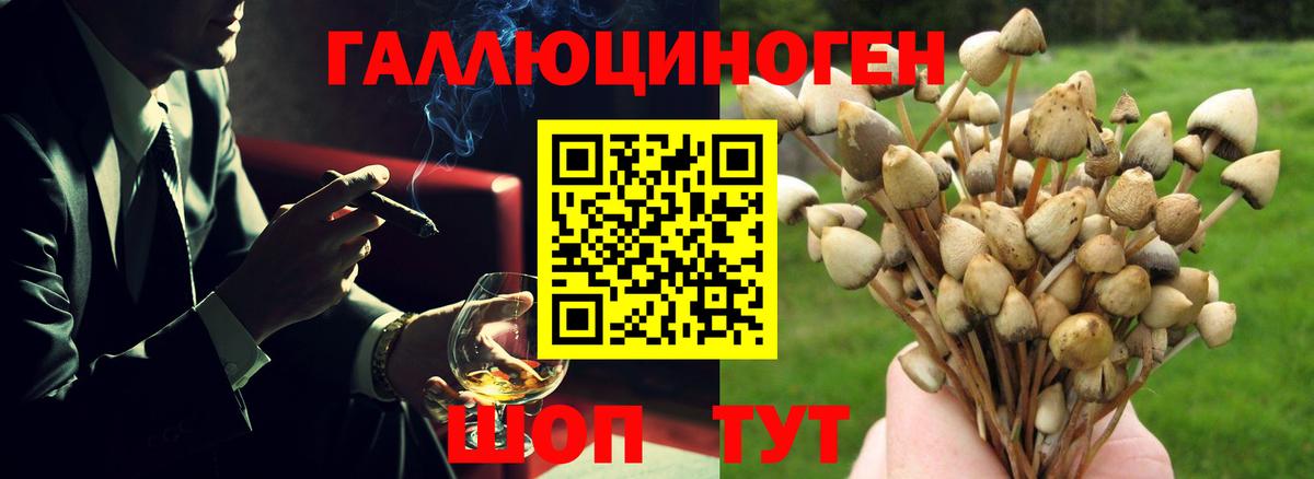 Новый Уренгой  Псилоцибиновые грибы Psilocybine cubensis  Вход с VPN 